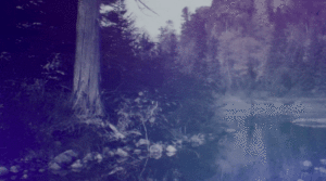 A distorted dreamlike image of a pond in the woods, a figure cloaked in white stands up.