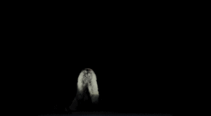 A woman dressed in woollen pants emerges from the dark and pulls a large white sheet of paper over herself